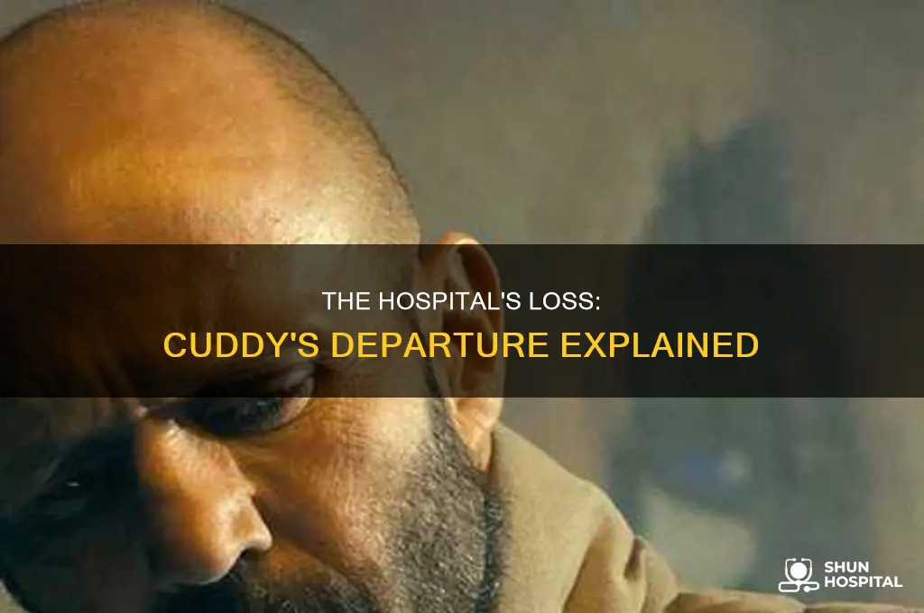 why did lisa cuddy leave the hospital