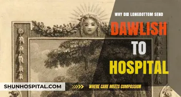 Longbottom's Powerful Spell: Dawlish Hospitalized