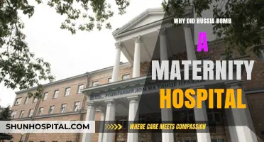 Russia's Attack on a Maternity Hospital: Why?