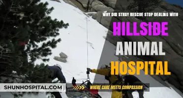 Stray Rescue Ends Partnership with Hillside Animal Hospital: Reasons Explained