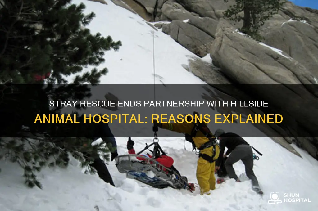 why did stray rescue stop dealing with hillside animal hospital