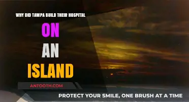 Tampa's Island Hospital: Unveiling the Strategic Location Decision