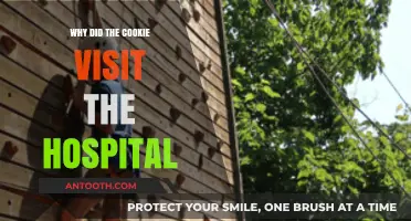 Hospital-Bound Cookie: A Sweet Adventure Unveiled