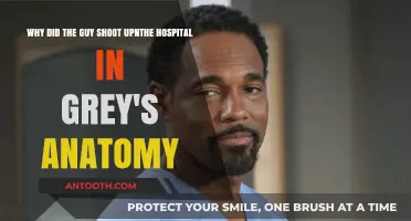 Unraveling the Tragic Hospital Shooting in Grey's Anatomy: A Deep Dive