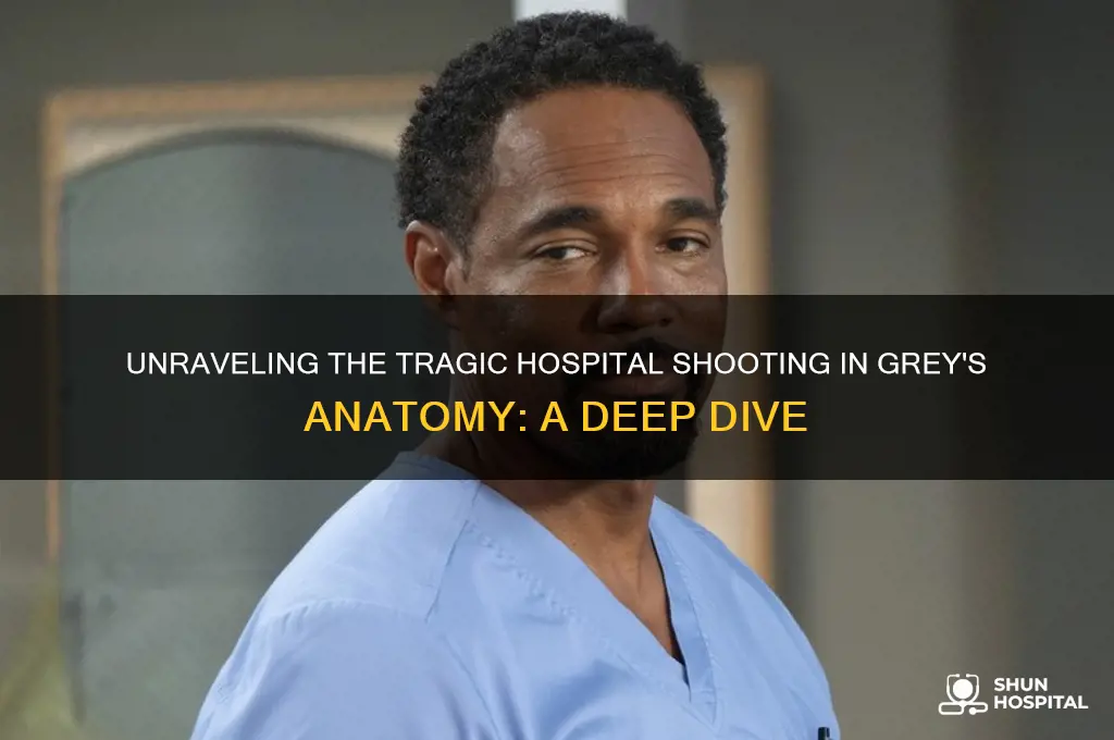 why did the guy shoot upnthe hospital in grey