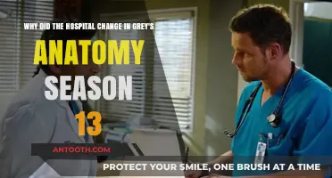 Grey's Anatomy Season 13 Hospital Transformation: Unraveling the Reasons Behind the Change