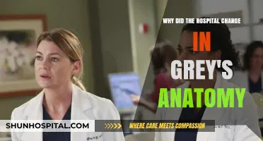 Grey's Anatomy Hospital Shift: Unraveling the Reasons Behind the Change