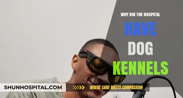 Hospital Dog Kennels: A Comforting Presence