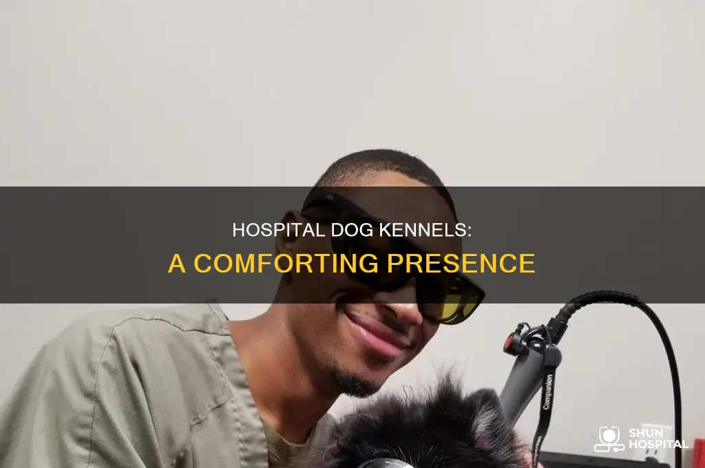why did the hospital have dog kennels