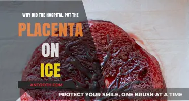 Placenta on Ice: Hospital's Chilling Practice Explained