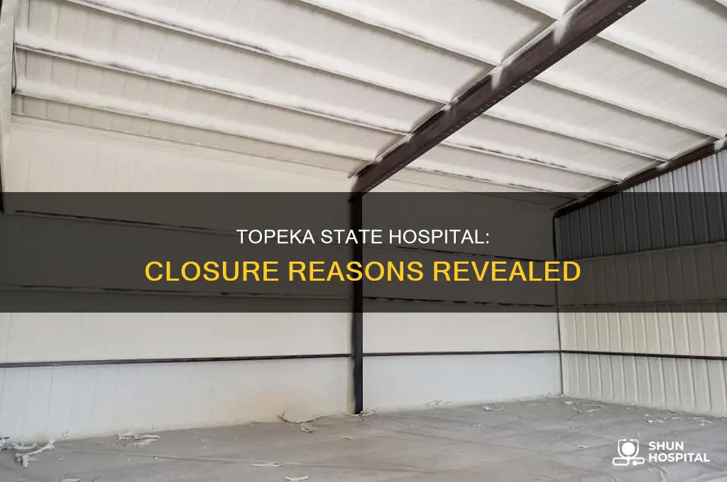 why did the topeka state hospital close