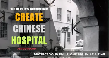 Tung Wah Dispensary's Legacy: The Birth of Chinese Hospitals