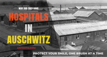 Auschwitz's Hospitals: A Dark Medical History