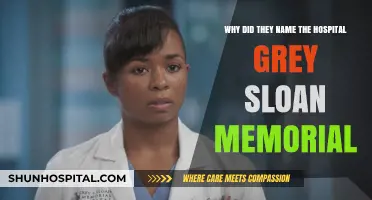 Grey Sloan Memorial: The Story Behind the Hospital's Iconic Name