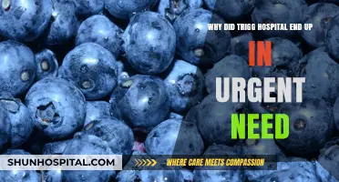 Trigg Hospital's Urgent Crisis: Unraveling the Causes Behind Its Sudden Need