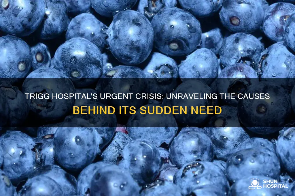 why did trigg hospital end up in urgent need