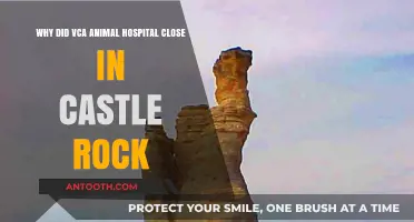 Castle Rock's VCA Animal Hospital Closure: Reasons and Community Impact