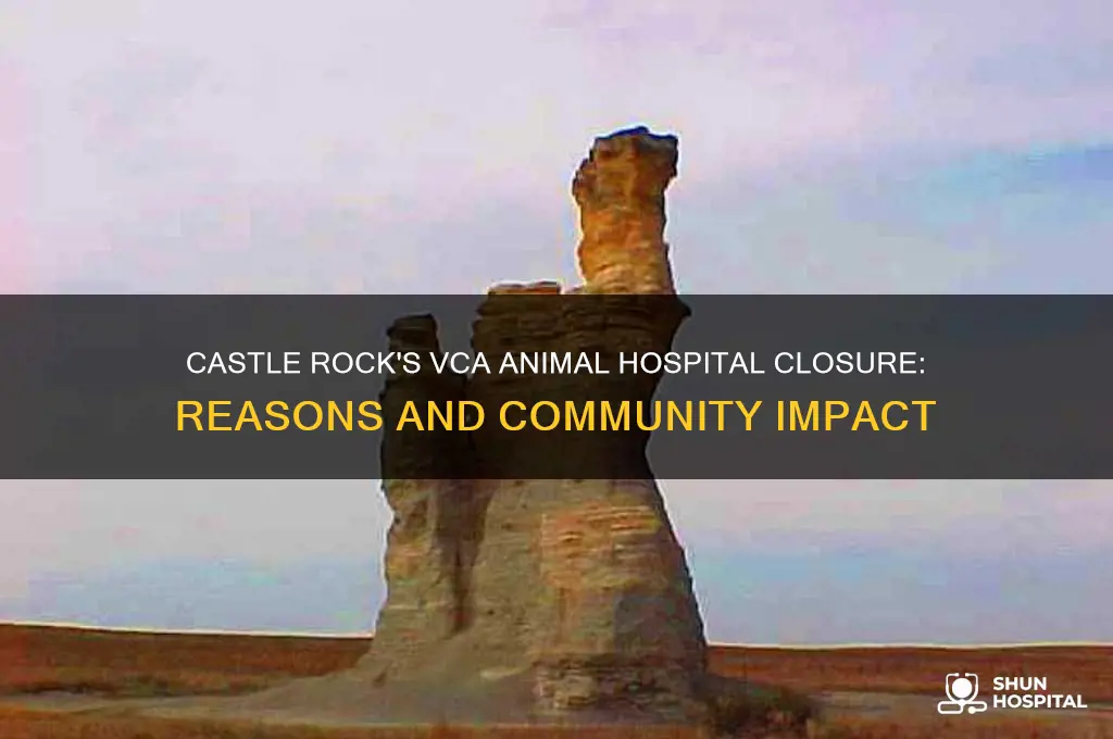 why did vca animal hospital close in castle rock