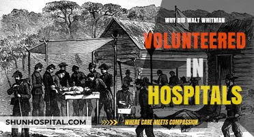 Walt Whitman's Hospital Volunteering: A Noble Calling