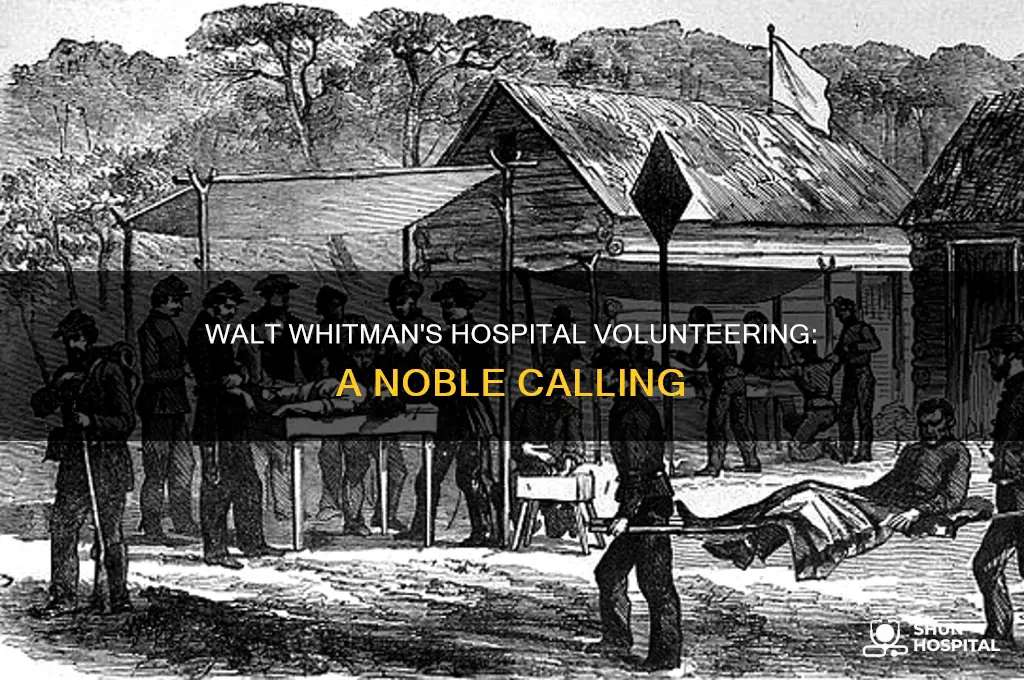 why did walt whitman volunteered in hospitals