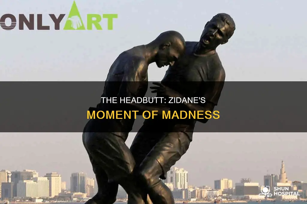 why did zidane headbutt materazzi to hospital