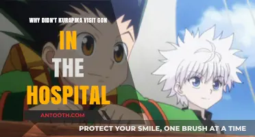 Kurapika's Absence: Why He Didn't Visit Gon in the Hospital