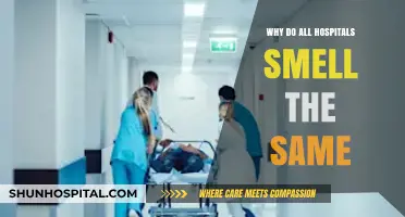 The Unique Smell of Hospitals: Why?