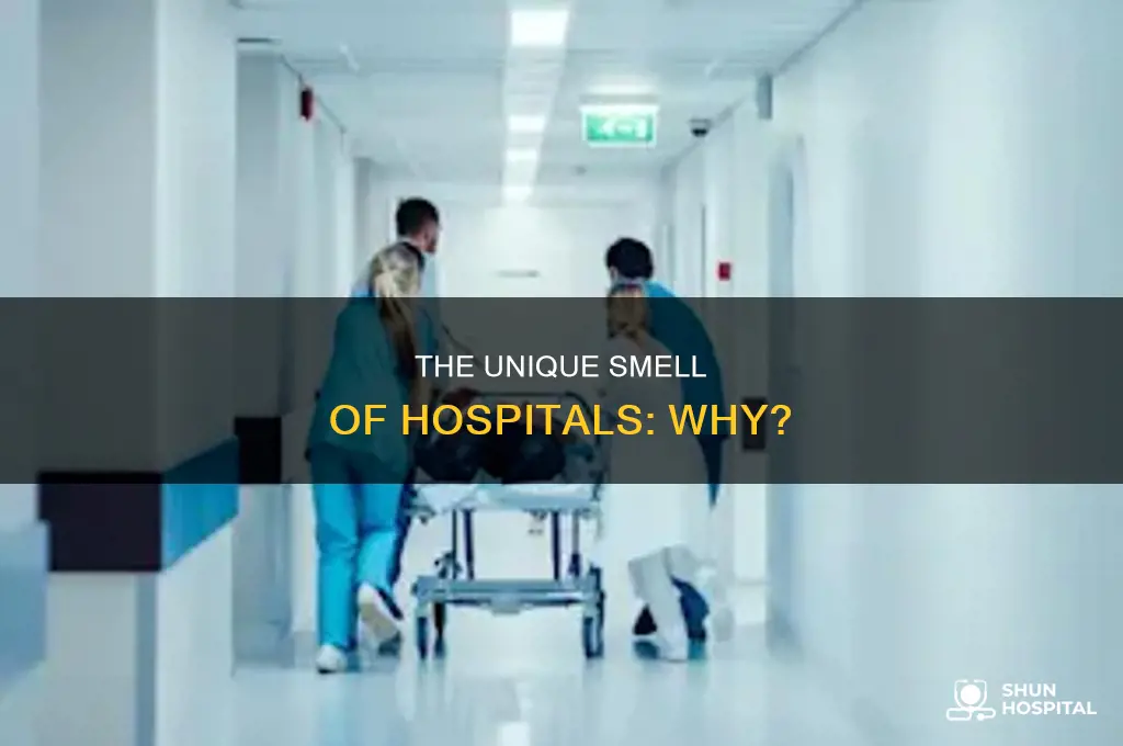 why do all hospitals smell the same