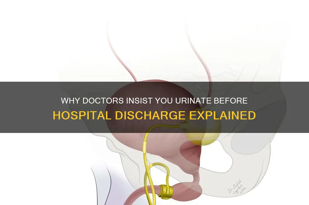 why do doctor