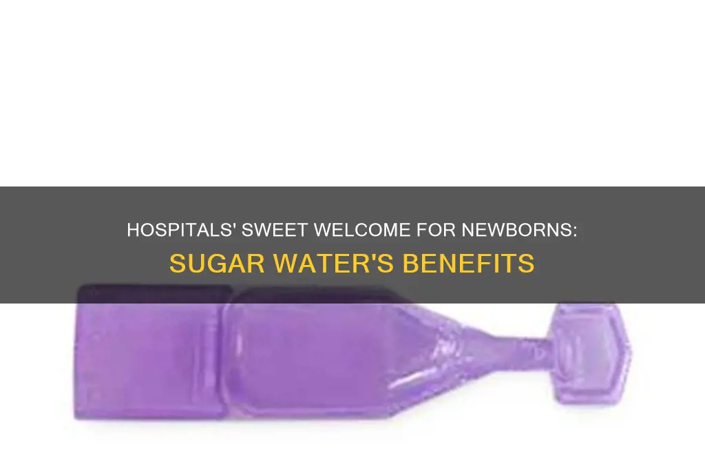 why do hospitals give newborns sugar water