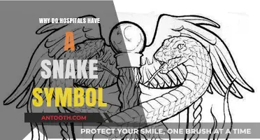 The Snake Symbol: Healing Hospitals