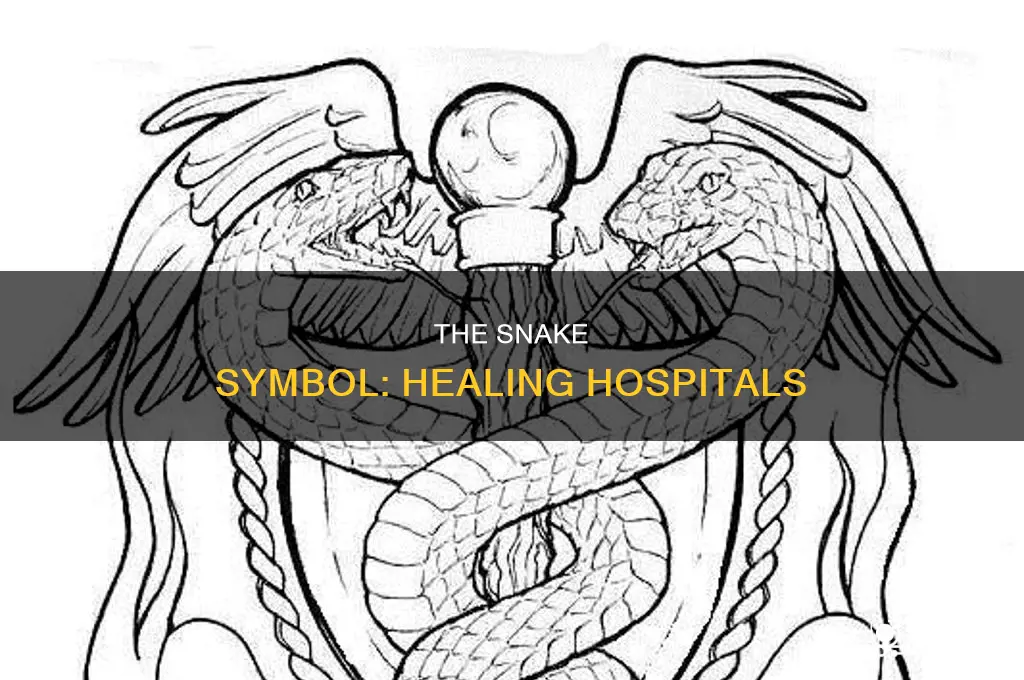 why do hospitals have a snake symbol