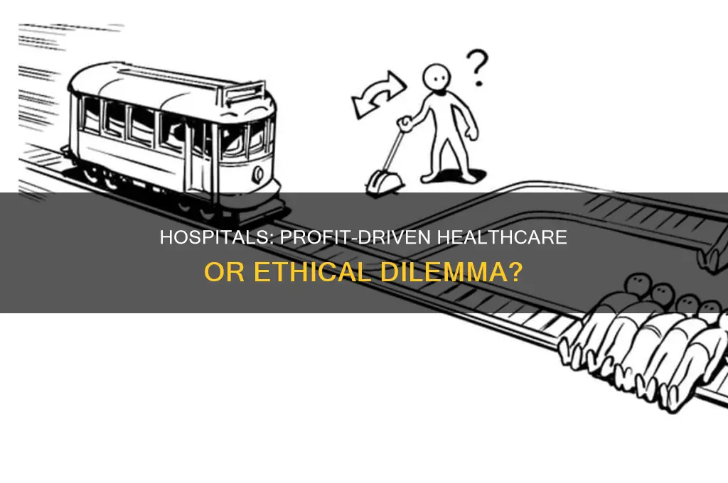 why do hospitals operate as a profit