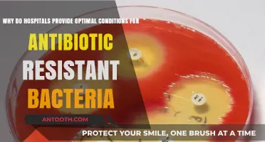 Hospitals: Breeding Grounds for Antibiotic-Resistant Bacteria – Why?