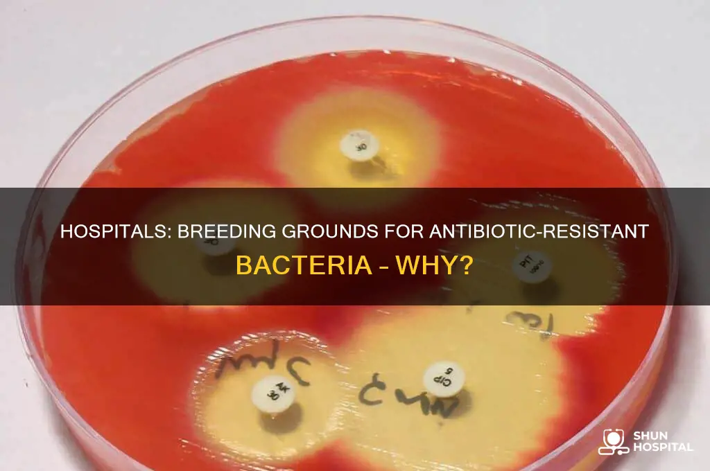 why do hospitals provide optimal conditions for antibiotic resistant bacteria