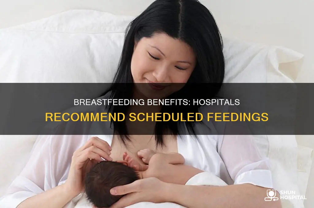 why do hospitals recommend breastfeeding on schedule
