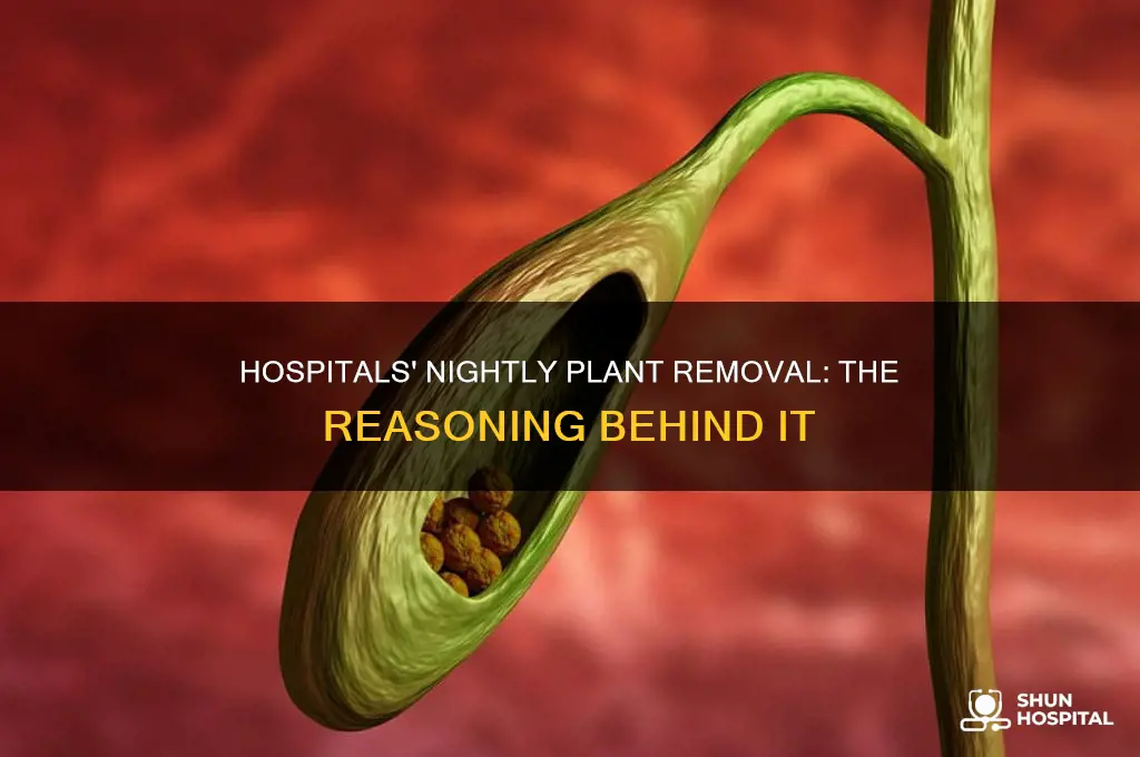 why do hospitals remove plants at night