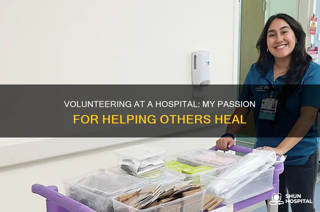 why do i want to volunteer at a hospital essay