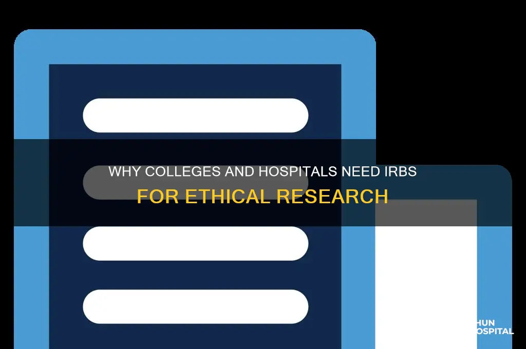 why do most colleges and hospitals have an irb