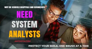 Why System Analysts Are Essential for Schools, Hospitals, and Businesses