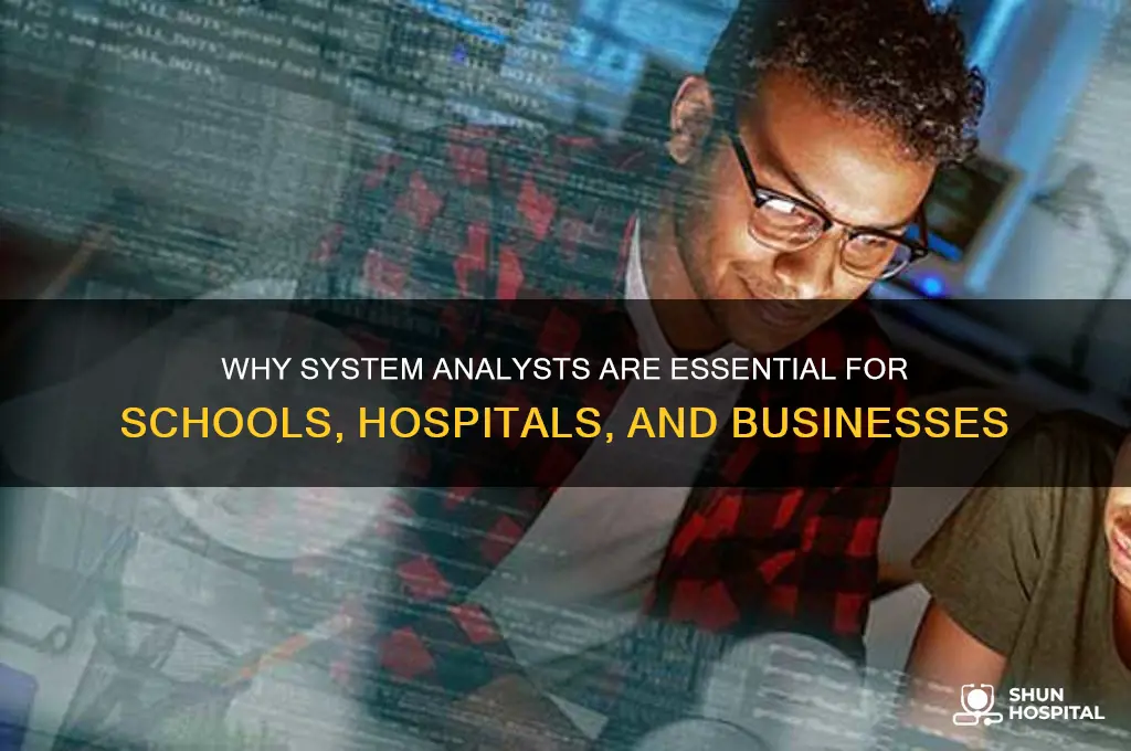 why do schools hospitals and businesses need system analysts