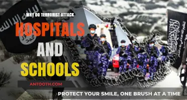 Terrorist Tactics: Why Hospitals and Schools?