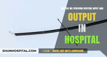 Routine Hospital I/O: Essential Practices for Patient Monitoring and Care