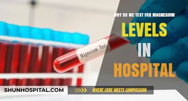 Understanding Magnesium Testing: Essential Role in Hospital Patient Care