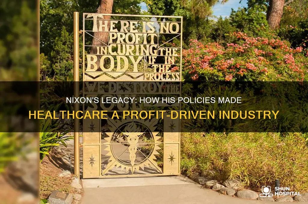 why doctors and hospitals are for profit because of nixon