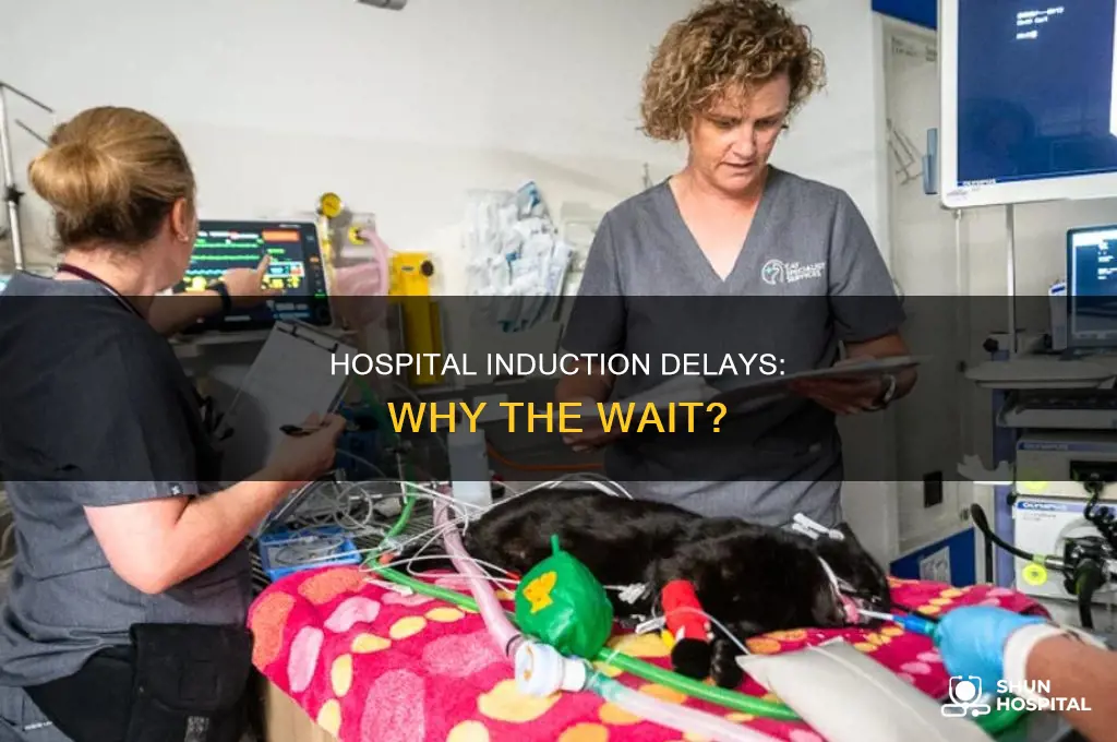 why does a hospital delaying my induction
