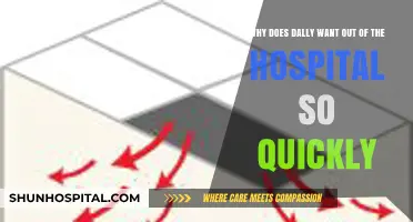 Dally's Urgent Escape: Unraveling His Hospital Exit Motives