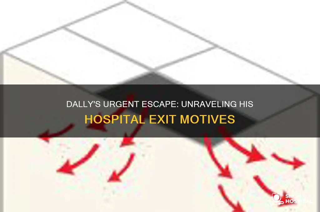 why does dally want out of the hospital so quickly