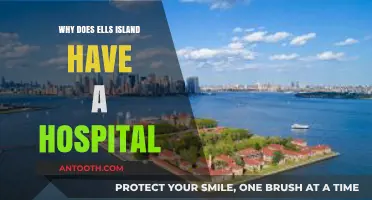 The Hospital on Ellis Island: A Medical Gateway to America