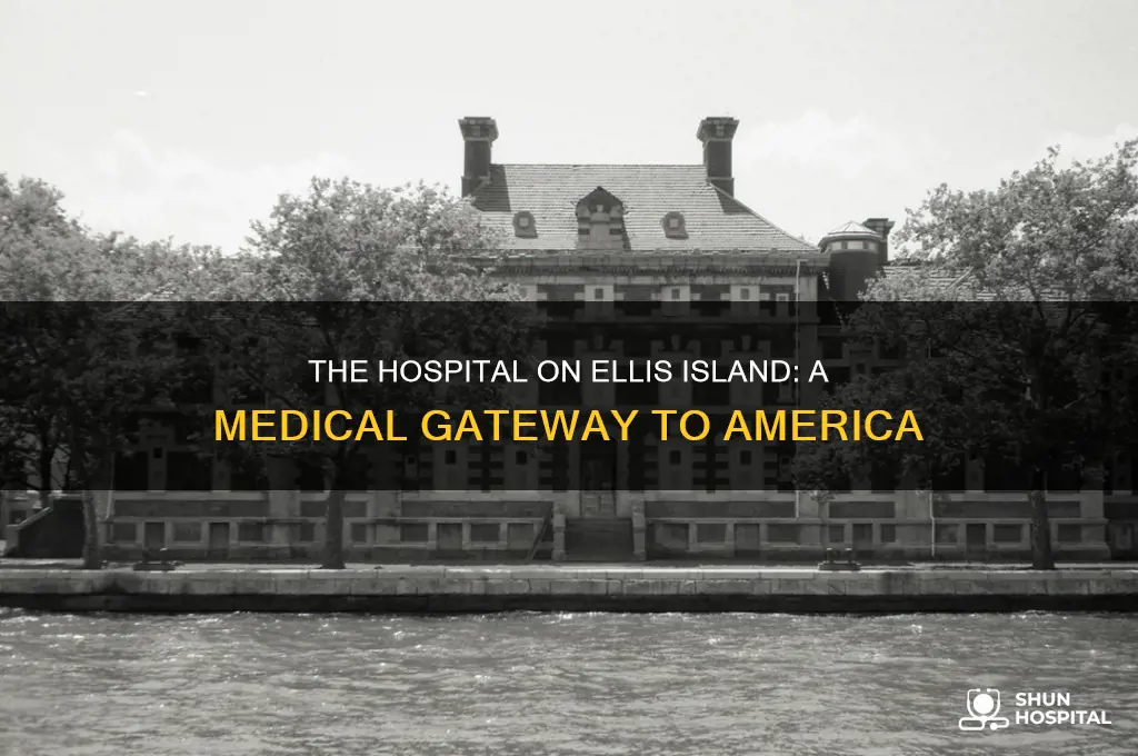why does ells island have a hospital